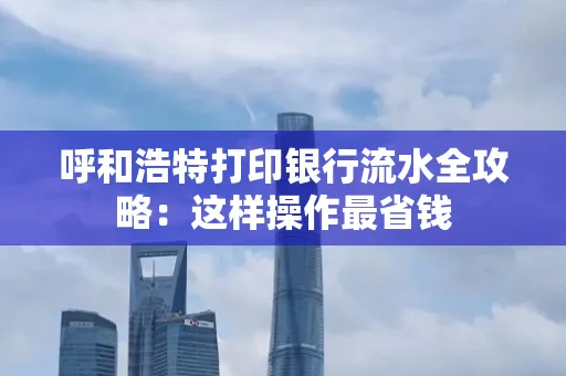 呼和浩特打印银行流水全攻略:这样操作最省钱