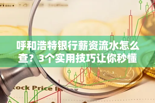 呼和浩特银行薪资流水怎么查?3个实用技巧让你秒懂