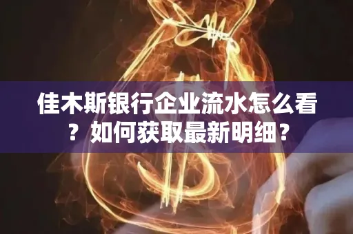 佳木斯银行企业流水怎么看?如何获取最新明细?