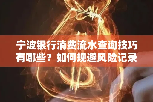 宁波银行消费流水查询技巧有哪些?如何规避风险记录?