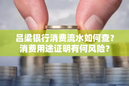 吕梁银行消费流水如何查?消费用途证明有何风险?