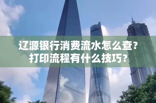 辽源银行消费流水怎么查?打印流程有什么技巧?
