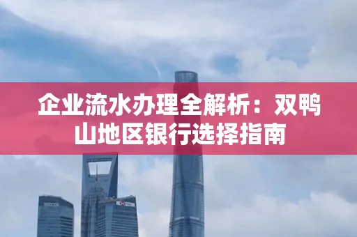企业流水办理全解析:双鸭山地区银行选择指南