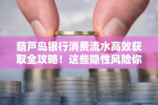 葫芦岛银行消费流水高效获取全攻略!这些隐性风险你必须知道