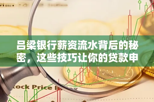 吕梁银行薪资流水背后的秘密,这些技巧让你的贷款申请快人一步