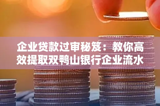 企业贷款过审秘笈:教你高效提取双鸭山银行企业流水