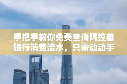 手把手教你免费查询阿拉善银行消费流水,只需动动手指就能完成