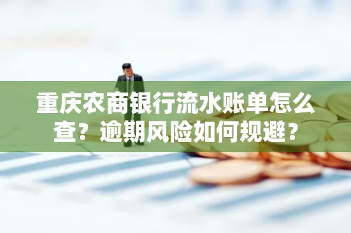 重庆农商银行流水账单怎么查?逾期风险如何规避?