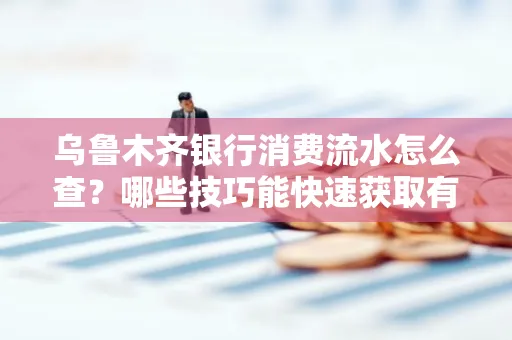 乌鲁木齐银行消费流水怎么查?哪些技巧能快速获取有效信息?