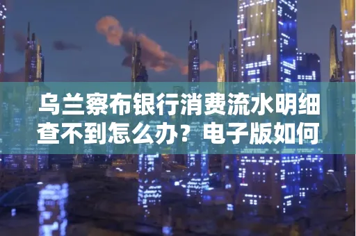 乌兰察布银行消费流水明细查不到怎么办?电子版如何获取攻克技巧?
