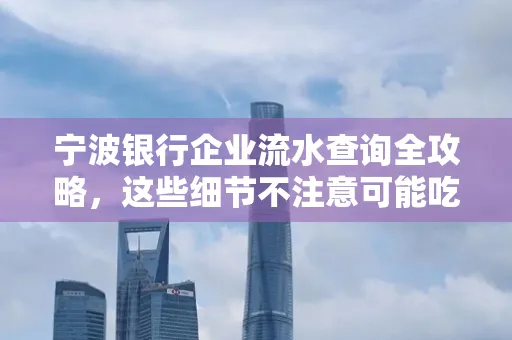 宁波银行企业流水查询全攻略,这些细节不注意可能吃大亏