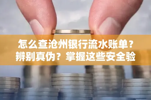 怎么查沧州银行流水账单?辨别真伪?掌握这些安全验证方法