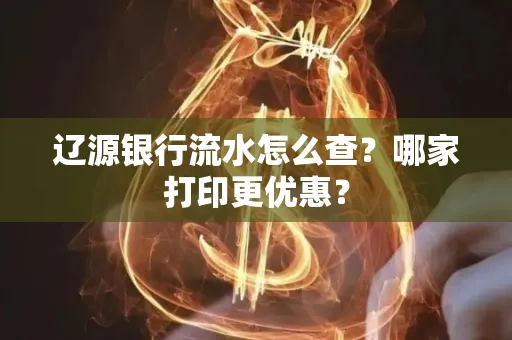 辽源银行流水怎么查?哪家打印更优惠?