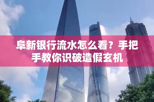 阜新银行流水怎么看?手把手教你识破造假玄机