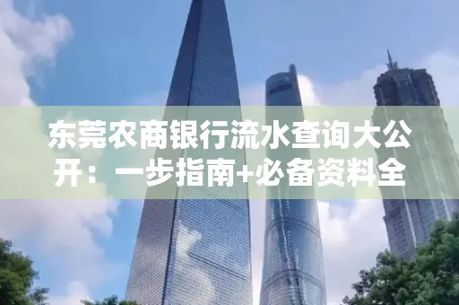 东莞农商银行流水查询大公开:一步指南+必备资料全解读