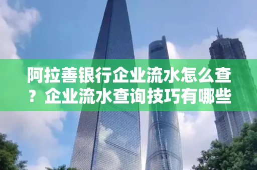 阿拉善银行企业流水怎么查?企业流水查询技巧有哪些?