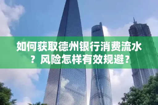 如何获取德州银行消费流水?风险怎样有效规避?