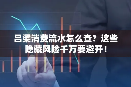 吕梁消费流水怎么查？这些隐藏风险千万要避开！