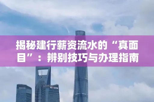 揭秘建行薪资流水的“真面目”:辨别技巧与办理指南大公开