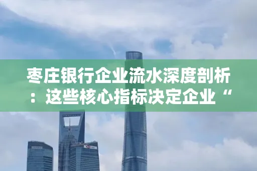 枣庄银行企业流水深度剖析:这些核心指标决定企业“钱袋子”健康度