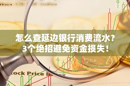 怎么查延边银行消费流水?3个绝招避免资金损失!