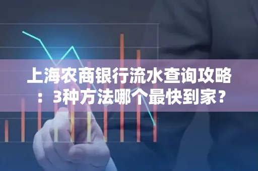 上海农商银行流水查询攻略:3种方法哪个最快到家?