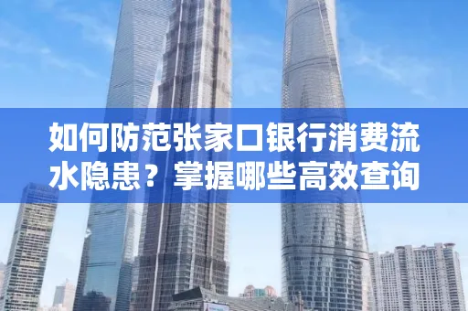 如何防范张家口银行消费流水隐患?掌握哪些高效查询技巧?