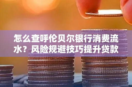 怎么查呼伦贝尔银行消费流水?风险规避技巧提升贷款率?
